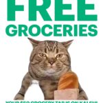 Kalshi Free Groceries NYC Promo